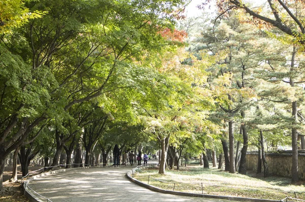 Cheonmachong Gyeongju Park Promenade Korea — Stock Photo, Image