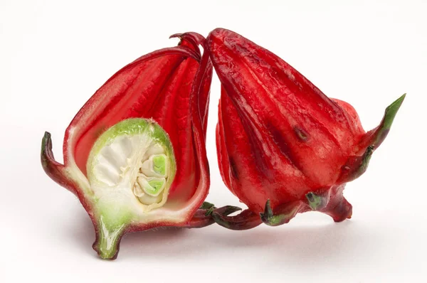 Roselle Blumen Auf Dem Hintergrund Nahaufnahme — Stockfoto