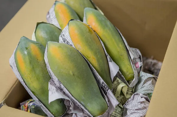 Fresco Papaya Frutas Fundo — Fotografia de Stock