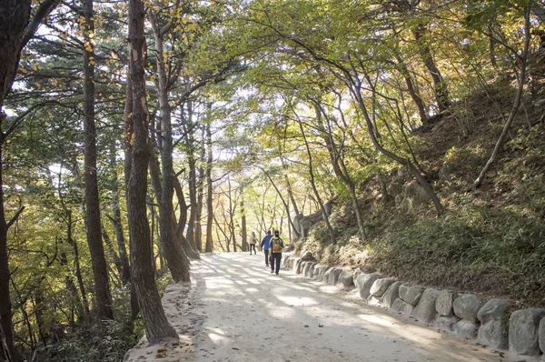 Schöne Berge Und Menschen Korea — Stockfoto