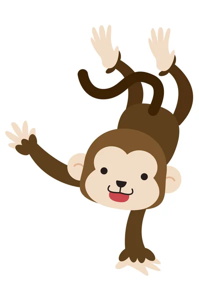 Monkey Illustration Apa Vit Bakgrund — Stockfoto