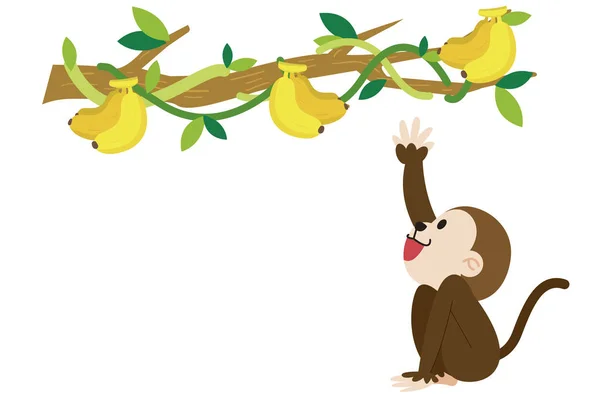 Μαϊμού Εικονογράφηση Μαϊμού Λευκό Φόντο — Φωτογραφία Αρχείου