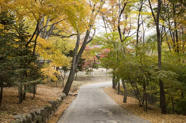 Schöner Gayasan Park Korea Haeinsa — Stockfoto