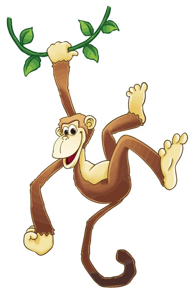 插图技术 猴子画在白色背景 — 图库照片