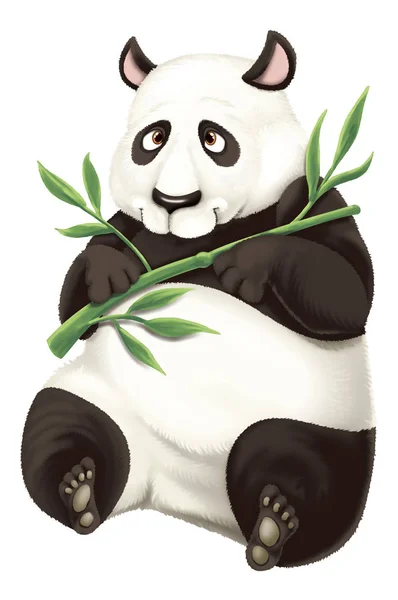 Illustration Technique, Giant Panda,