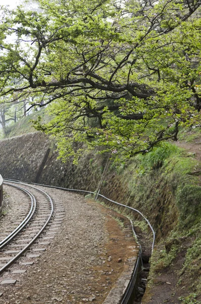 Tren yolu alişan, Chiayi, Tayvan