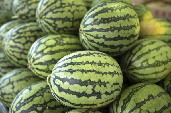 Watermeloen Fruit Oogsten Achtergrond Close — Stockfoto