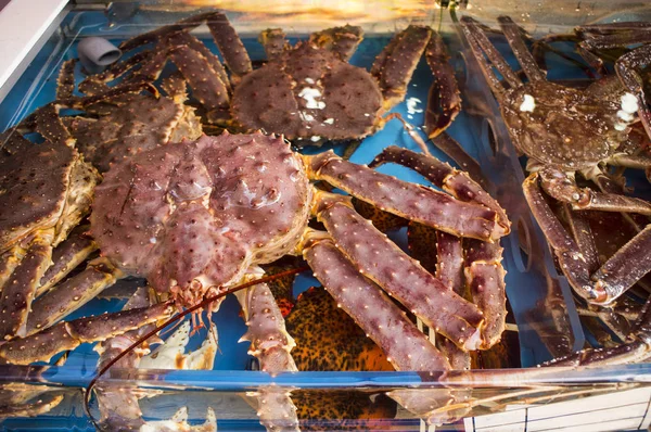 Red King Crabs, Busan, Korea, Asia,