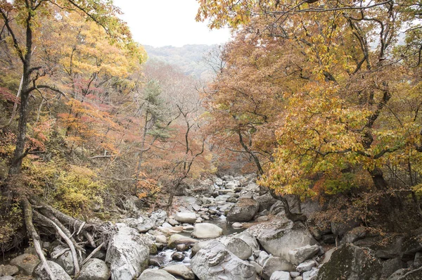 Magnifique Parc Gayasan Corée Haeinsa — Photo