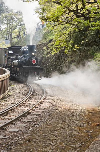Eski kafalı tren alişan, Chiayi, Tayvan