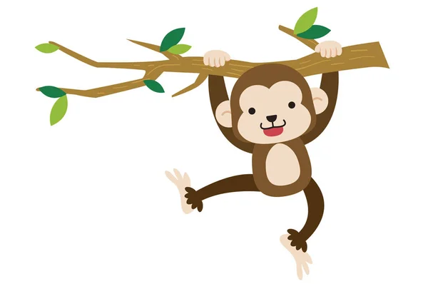 Monkey Illustration Apa Vit Bakgrund — Stockfoto