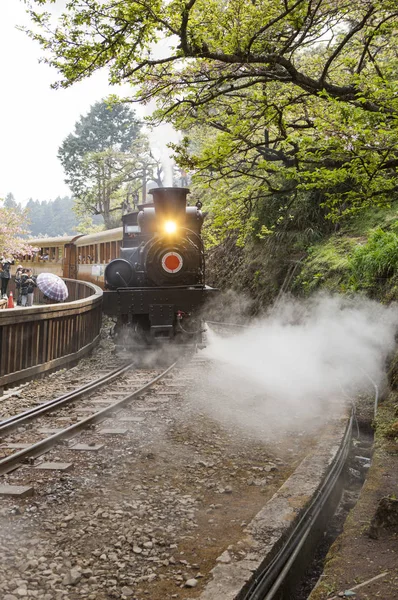 Eski kafalı tren alişan, Chiayi, Tayvan