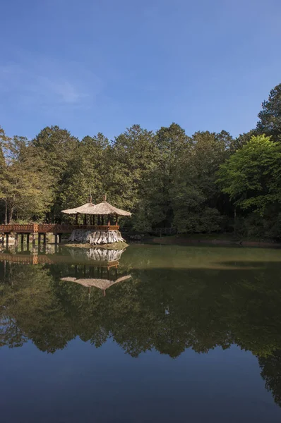 Alishan  Scenic Area, view of lake with forest on background