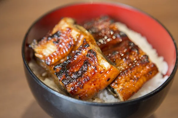 うなぎご飯 背景にクローズ アップ — ストック写真