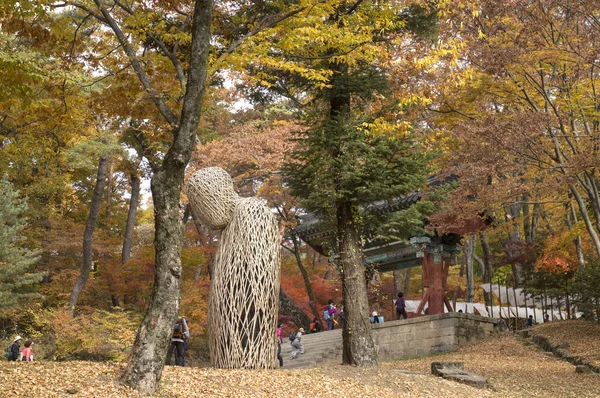 Ahornblätter Gayasan Park Korea — Stockfoto