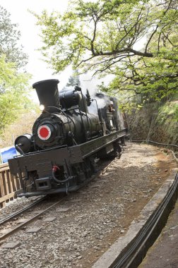 Eski kafalı tren alişan, Chiayi, Tayvan