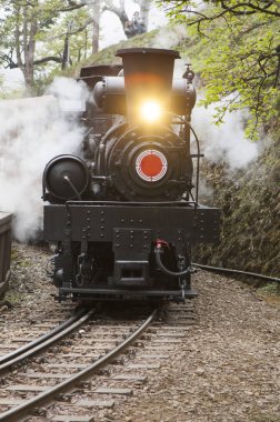 Eski kafalı tren alişan, Chiayi, Tayvan