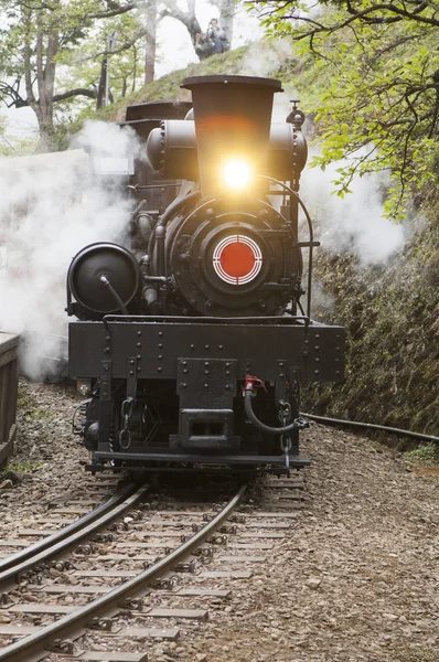 Eski kafalı tren alişan, Chiayi, Tayvan