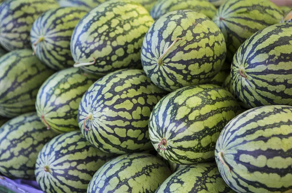 Watermeloen Fruit Oogsten Achtergrond Close — Stockfoto