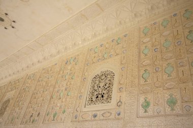 Amber fort, jaipur, Hindistan,