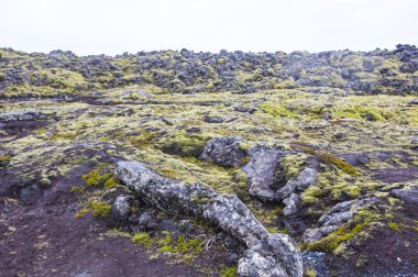 Volkanik manzara, arka planda, volkanik taş yakın çekim