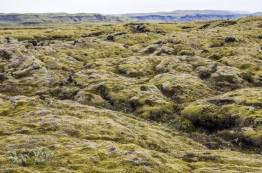 Volkanik manzara, arka planda, volkanik taş yakın çekim