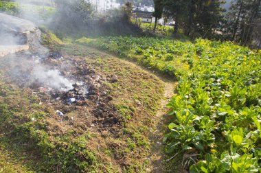 Wuyuan, Jiangxi eyaletinin sebze
