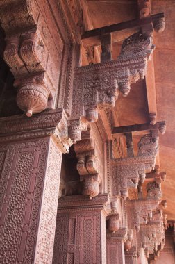 Agra Kalesi, Agra, Hindistan