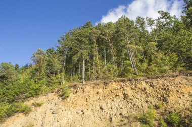 Seattle, ABD Olimpiyat Milli Parkı