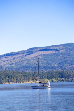 Seattle, ABD Olimpiyat Milli Parkı