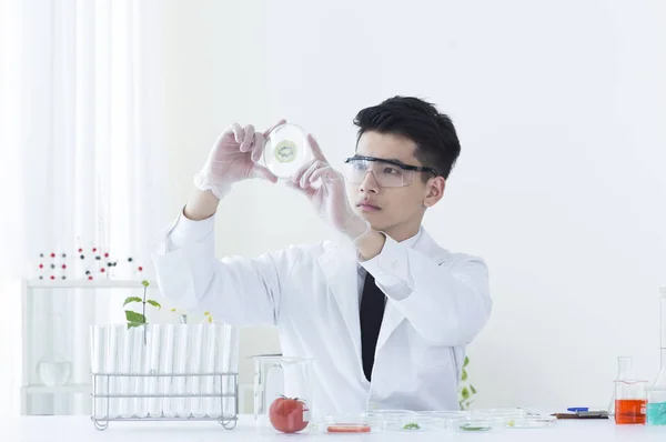 Young Asian Biologist Holding Sample Looking — Stock fotografie