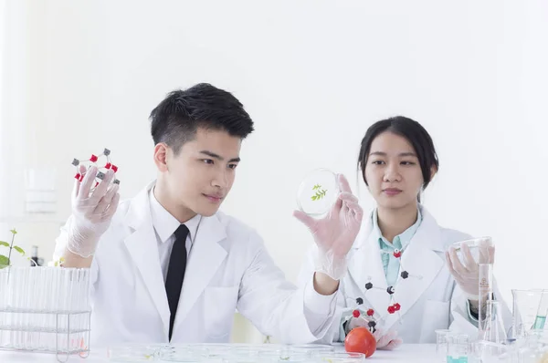 Mladá Asijská Biolog Drží Model Vzorek Při Pohledu Vedle Jeho — Stock fotografie