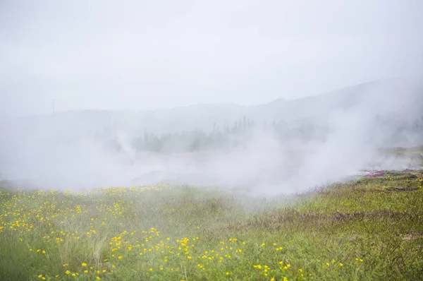 Geyser Geysir Islândia Europa — Fotografia de Stock