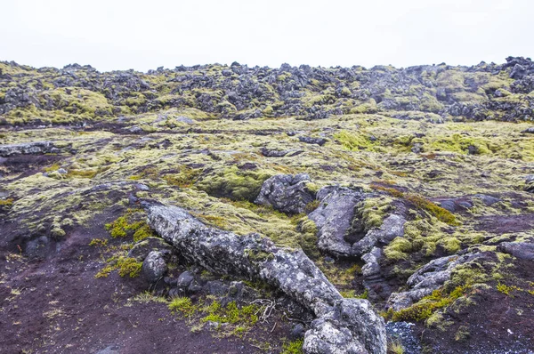 Volkanik manzara, arka planda, volkanik taş yakın çekim
