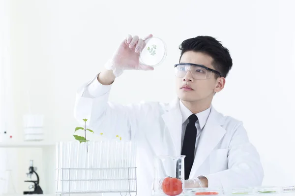 Young Asian Biologist Holding Sample Looking — Stock fotografie