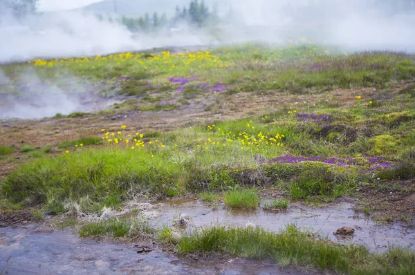 Гейзер Geysir Ісландія Європа — стокове фото