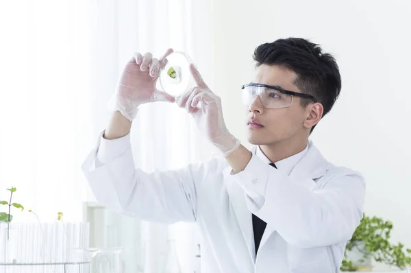Young Asian Biologist Holding Sample Looking — Stock fotografie