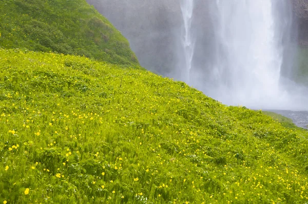 Ijsland Europa Seljalandsfoss Waterval Achtergrond — Stockfoto