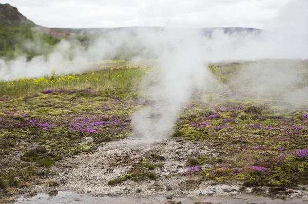 Гейзер Geysir Ісландія Європа — стокове фото