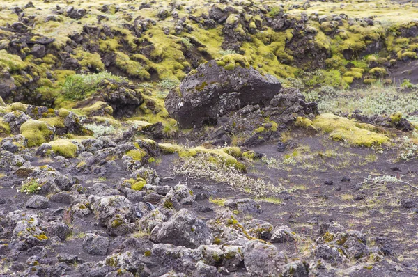 Volcanic Landscape, Volcanic Rock on background,close up