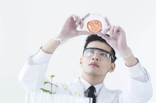 Young Asian Biologist Holding Sample Looking — Stock fotografie