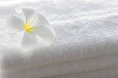 Frangipani çiçek ve havlu arka plan üzerinde kapat