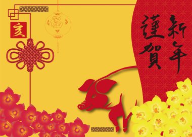 Yıl domuz, yeni yıl, Çin yeni yılı