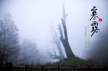 24 Solar Terms, Season, Cold Dew