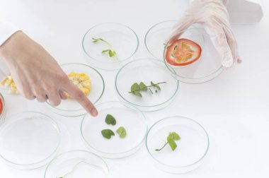 Genç kadın doktor bazı test tüpü işaret