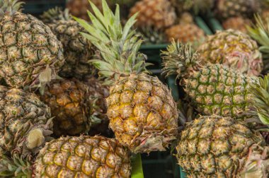 taze ananas arka plan üzerinde Kapat