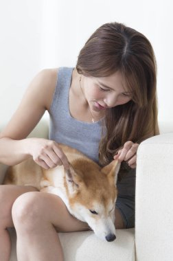 Mavi elbiseli genç Asyalı kadın koltukta oturmuş köpeğini tutarken gülümsüyor.,