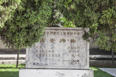 Asya, Çin, Shaanxi Eyaleti, Xi'an, Xi An Steller Ormanı,