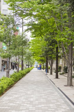 arka planda modern şehirde görünüm