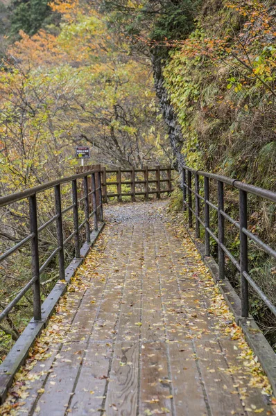 Schöne Naturkulisse Mit Fußgängerbrücke Park — Stockfoto